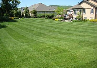 Fresh Cut Lawn | Lawn Mowing Services by Lawn Connections