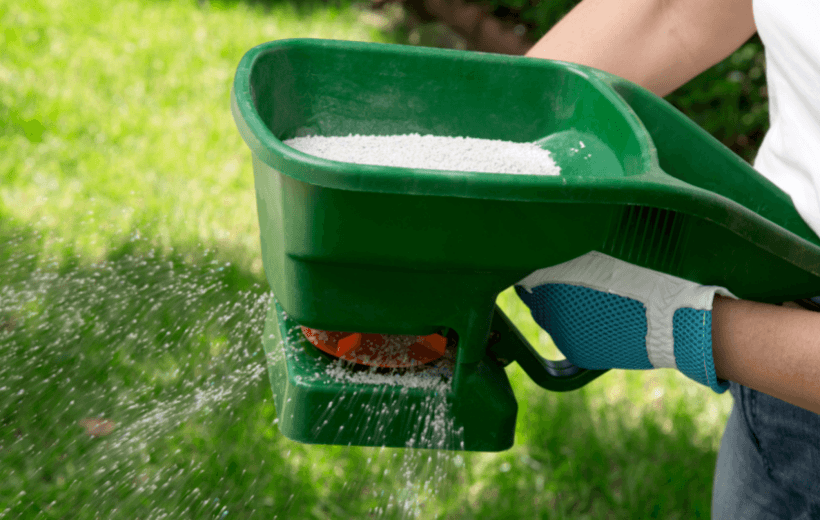 Lawn fertilization and weed control lawn care