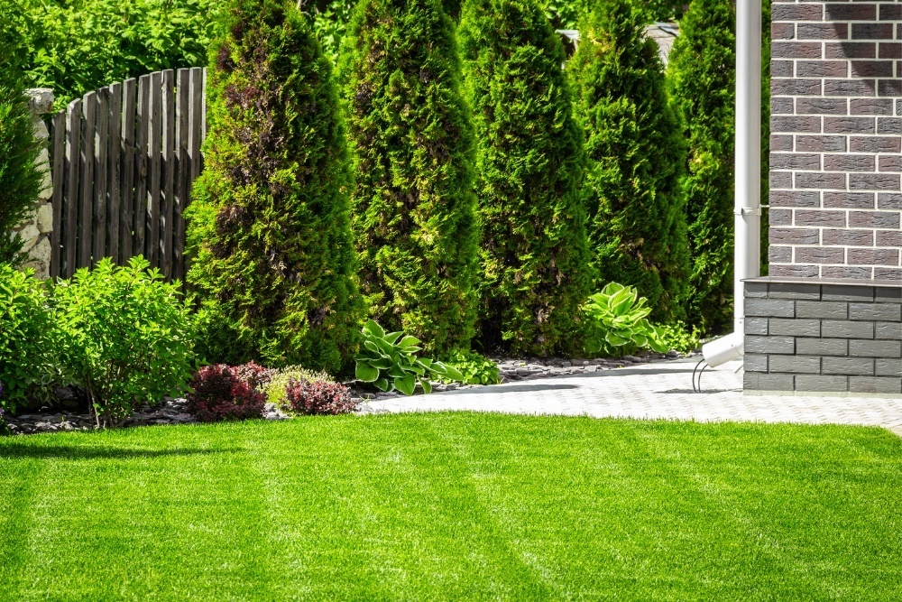 clean yard with stone path and landscaped trees