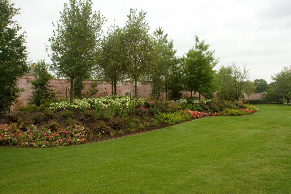 Professional Landscaping and Design Knowledge